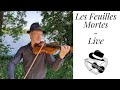Les Feuilles Mortes Live - Yves Montand - Violon chanson française