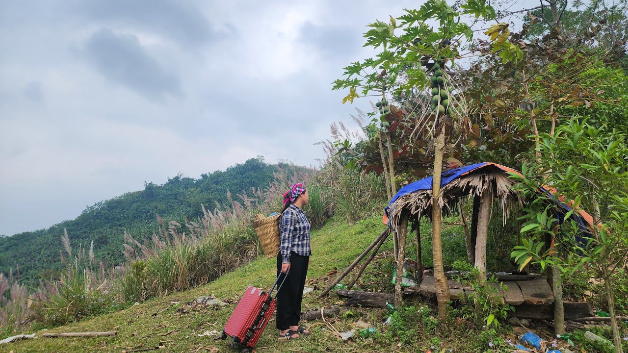 В одиночестве посреди горя: как Тье Ви продолжит жить после того, как потерял всё?