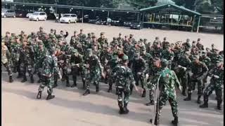 YEL YEL TNI AD!!KEKASIH IDAMAN
