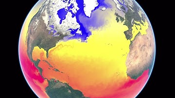 A year of sea surface temperature - 2016