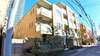 CARO南青山 1LDK 58.69㎡ 高級マンション 低層 青山一丁目 カーロ南青山