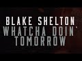 Blake Shelton - Whatcha Doin' Tomorrow (Lyric Video)