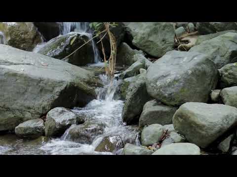 Relaxing Holiday (Original Track By Sleep & Relaxation Track 36)