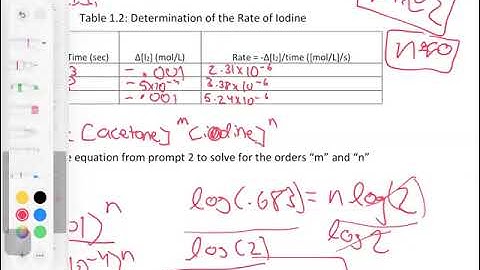 Data Analysis of Kinetics Lab