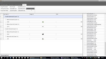 048 011 DataGrid - (Grouping) - Functions - CollapseGroupRow