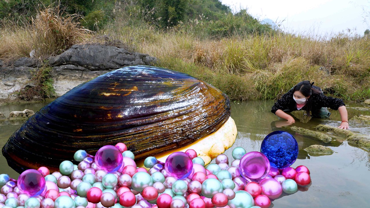😱🎁🎁The girl discovered a giant clam and spat out countless enchanting colored pearls, so beautiful