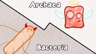 Archaea: Bacteria's Pacifist Cousins?