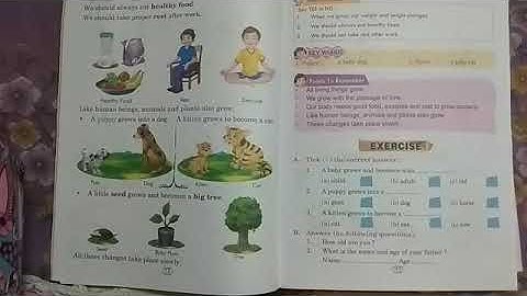 STD II  EVS ch 2 Growing up