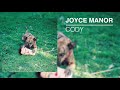 Joyce Manor - Cody (Full Album)