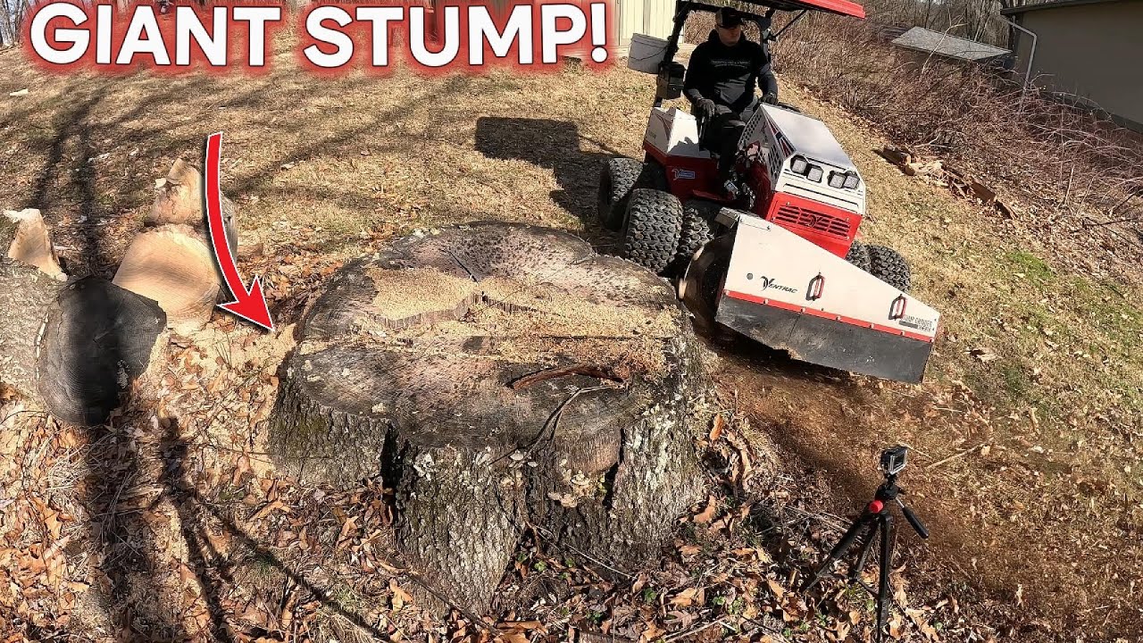Grinding Out A Giant Stump! || Ventrac Stump Grinder - YouTube