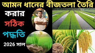 আমন ধানের ফলন বৃদ্ধি করার একমাত্র উপায়//আমন ধানের বীজতলা তৈরি করার সঠিক নিয়ম 💯✅🙏