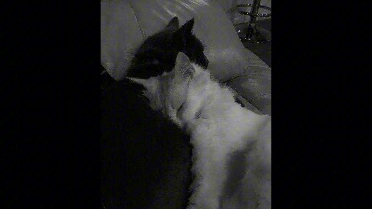 Derine Daha Derine ( Slowed & Reverb )