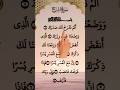 Surah Alam-Nashrah♥️ - Egzon Ibrahimi remix voice #surah #qurantilawat #quranrecitation #shortvideo