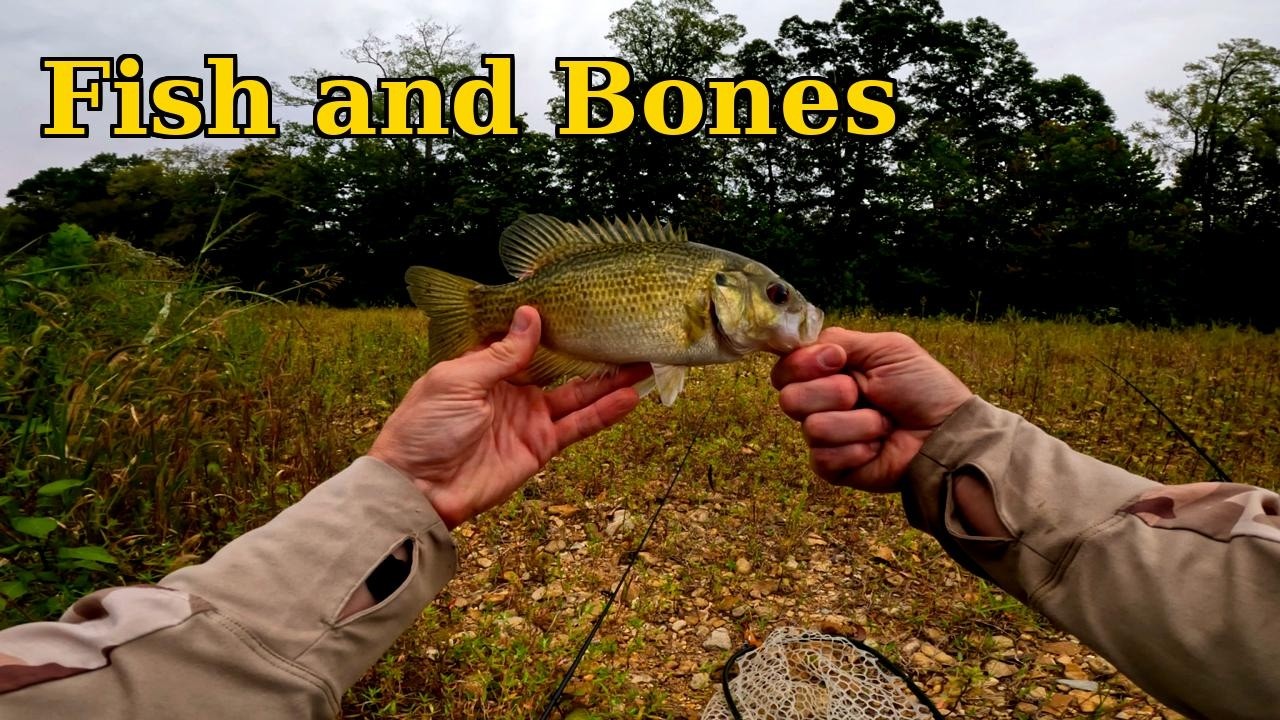 Fish and Bones | Creek Fishing with a Spotted Bass, Big Rock Bass & Wild Find