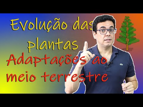 Vídeo: Quais Algas Se Adaptaram à Vida Terrestre