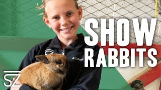 How to Become a Rabbit Showmanship Champion