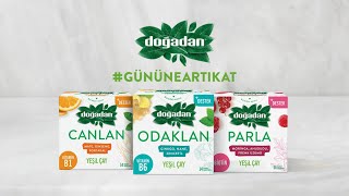 Doğadan Destek Serisi - Odaklan