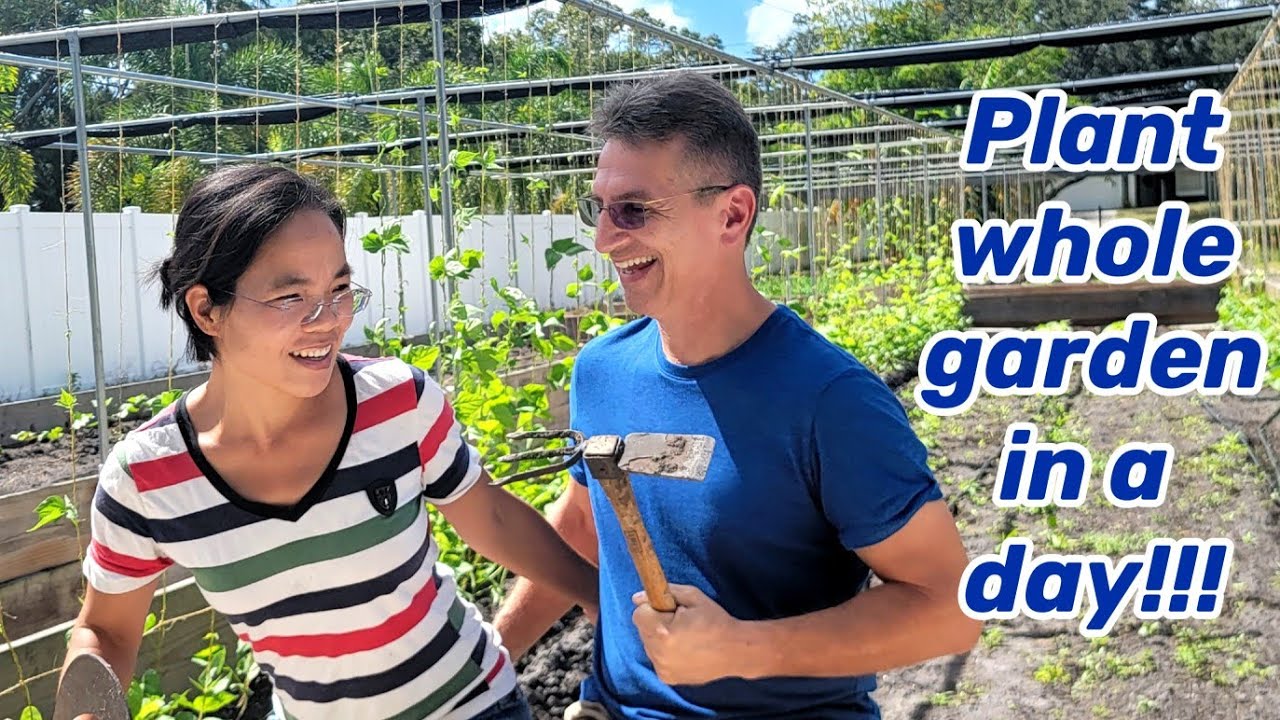 We prepare and plant a whole garden in one day, wife and hubby work together