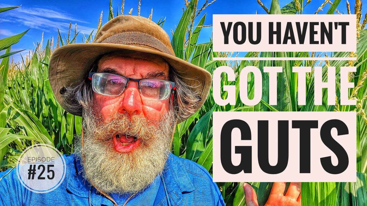 You Haven't Got the Guts WALK ACROSS AMERICA YouTube