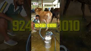 ஒரு இடத்தில் இருந்து பல வேலை செய்யும்  Fixed milking machine!!!