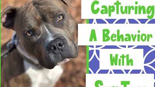 Capturing a Behavior