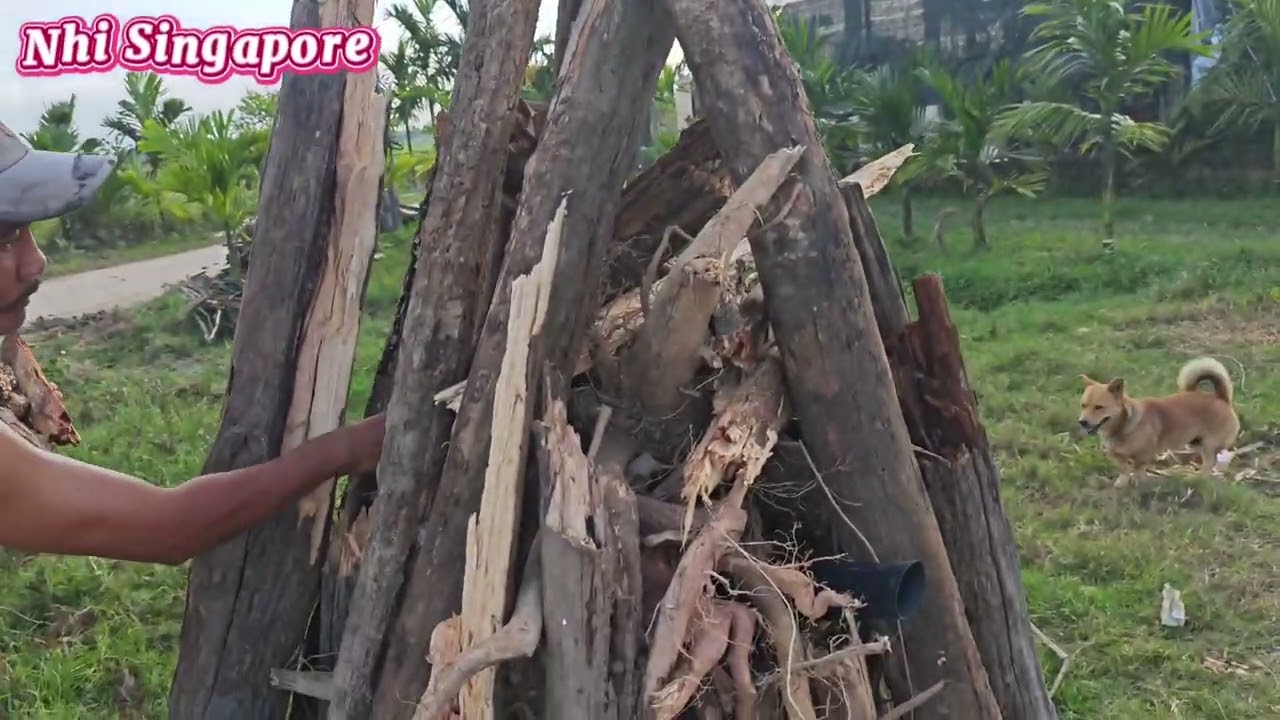 Chuẩn Bị Củi .Đón Giao Thừa 