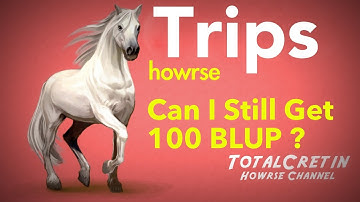Can I Still Get 100 BLUP? - Howrse Trips