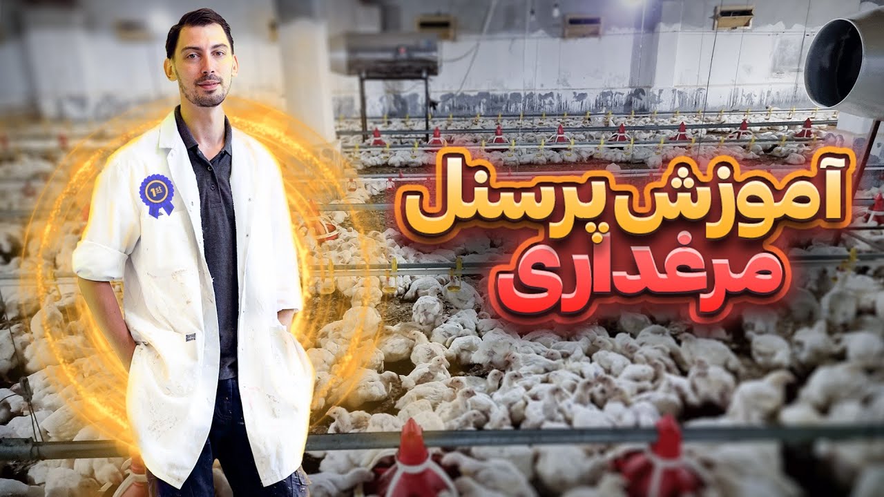 آموزش پرسنل مرغداری گوشتی (بکارگیری حواس 5گانه)