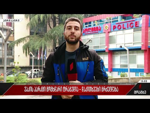 ვაკის პარკში მომხდარი ტრაგედია - დაკითხვები გრძელდება