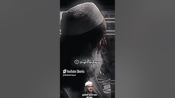 الشيخ محمد صديق المنشاوي   ألم يجدك يتيما فآوى   ما تيسر من سورة الضحي   Copy