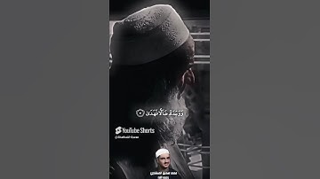 الشيخ محمد صديق المنشاوي   ألم يجدك يتيما فآوى   ما تيسر من سورة الضحي   Copy