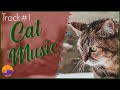 Relaxing Music for Cats - #1 Christmas Album ⭐