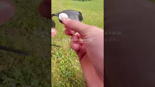 A life hack for Ray-Ban and Meta glasses 😎#shorts #rayban #meta #glasses #gadgets