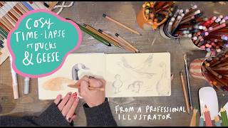 Drawing Ducks and Geese | Relaxing Sketchbook Timelapse