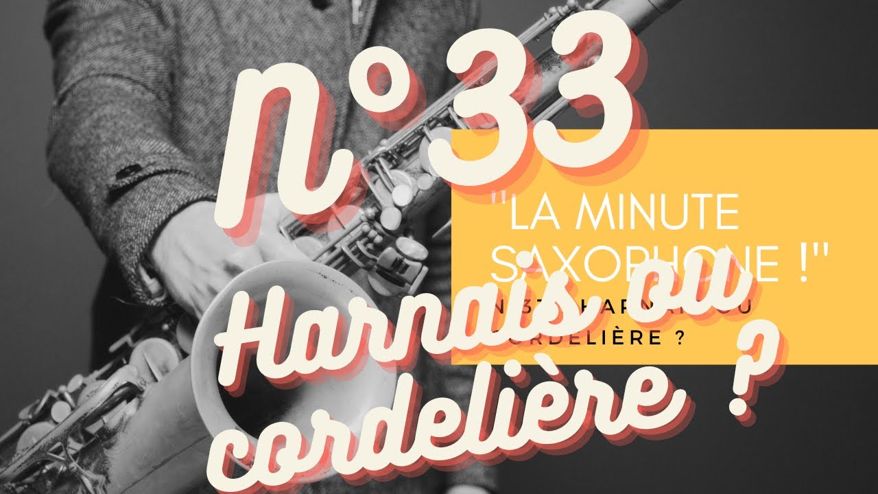 Sangle De Cou Saxophone Tenor - Harnais Confortable En Cuir PU Noir