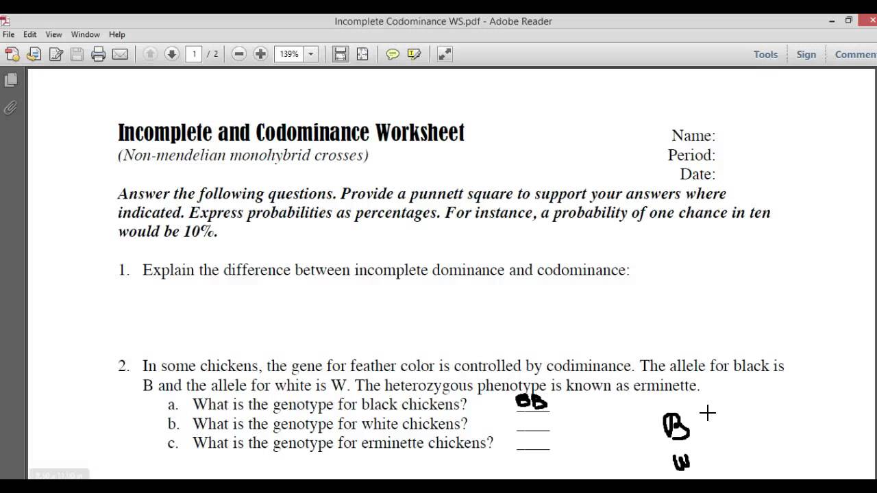 Incomplete and Codominace Worksheet Part1  YouTube