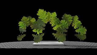 English Oak (Quercus Robur) leaves. SideFX Houdini, Karma XPU, MaterialX
