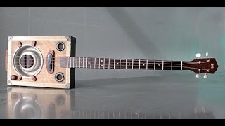 cat bowl 4 string rezonator cbg