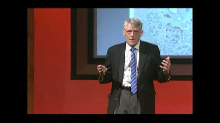 Preserving Your Beta Cells: Peter Butler, M.D. at ...