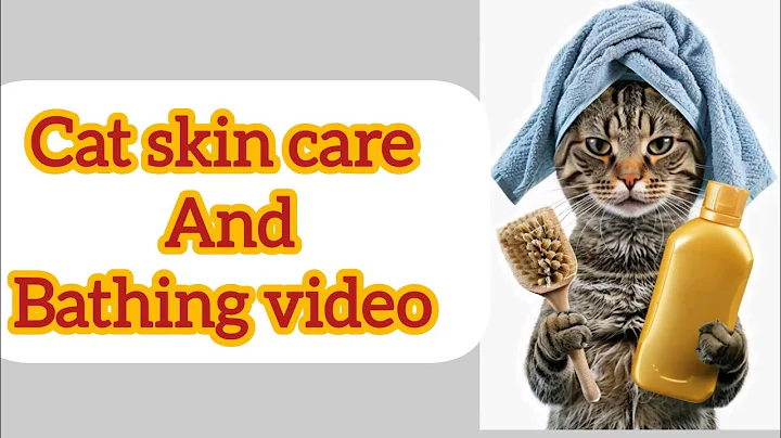 Watch the video about Persian cat skin care and bathing video//Tamil video