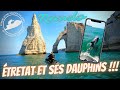 Jet ski des dauphins par dizaines  tretat  4k