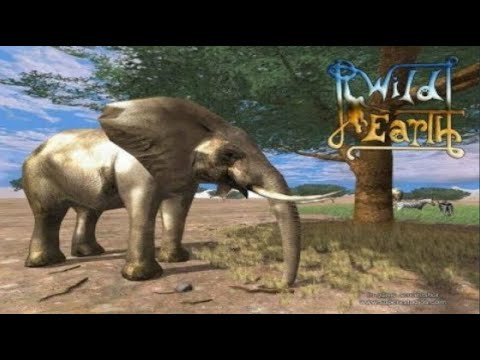 Wild Earth: Фото-сафари - Знакомство со слонами №1 👀