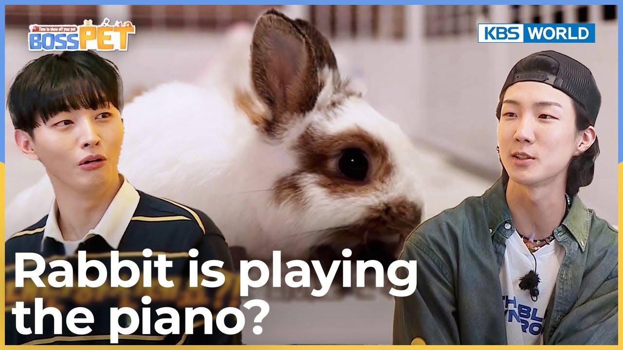 Rabbit is playing the piano? [Boss Pet : EP.11-2] | KBS WORLD TV 221007