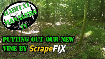 Putting out THE VINE by Scrape Fix.