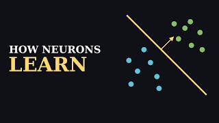 The Perceptron Explained Visually: How a Neuron Learns (Neural Networks Part 2)