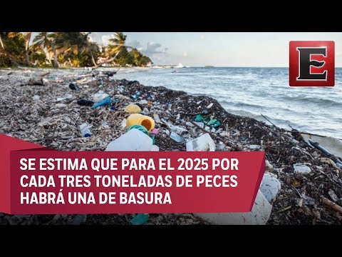 Vídeo: Enviar Stiv Wilson Para Explorar La Contaminación Plástica En El Atlántico - Matador Network