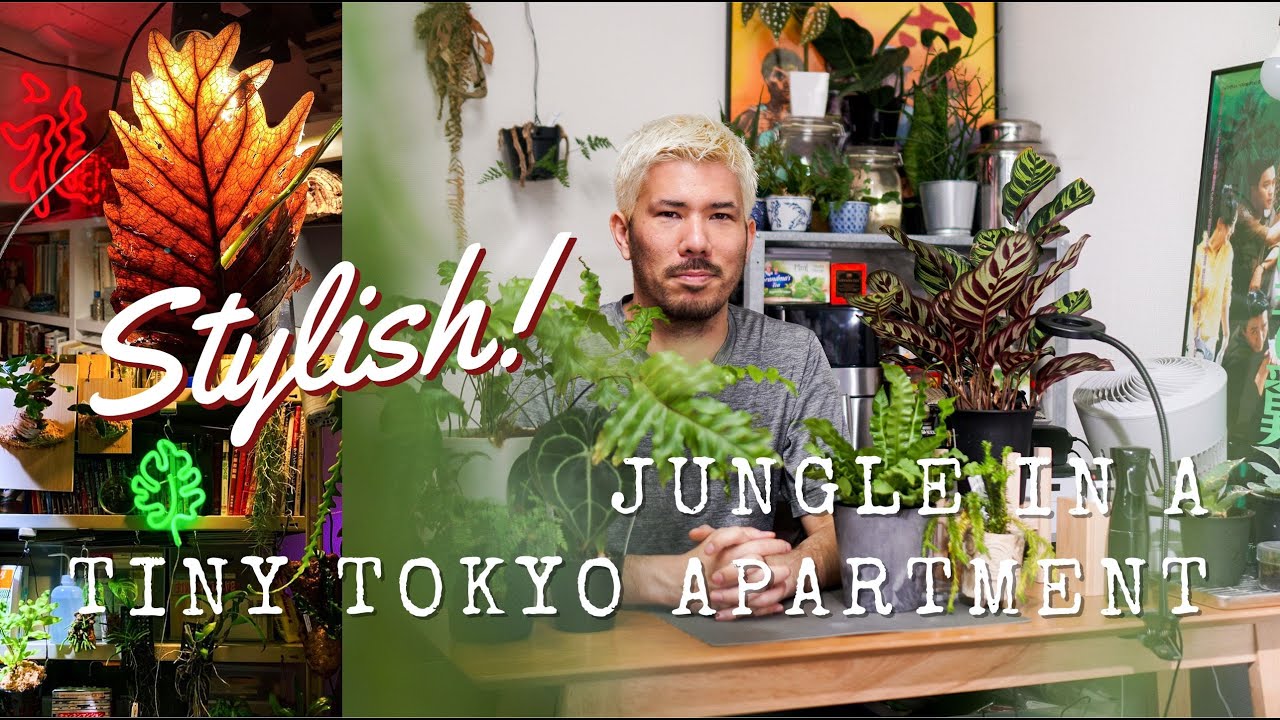 Tiniest Tokyo 🇯🇵 Shoebox Apartment Filled with PLANTS! Shinjuku JUNGLE