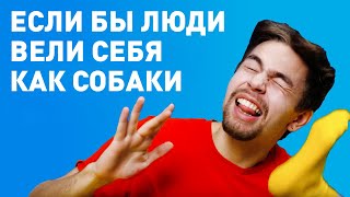 ЕСЛИ БЫ ЛЮДИ ВЕЛИ СЕБЯ КАК СОБАКИ. Странно было бы, да? || «Сделай мне смешно!» – Юмор