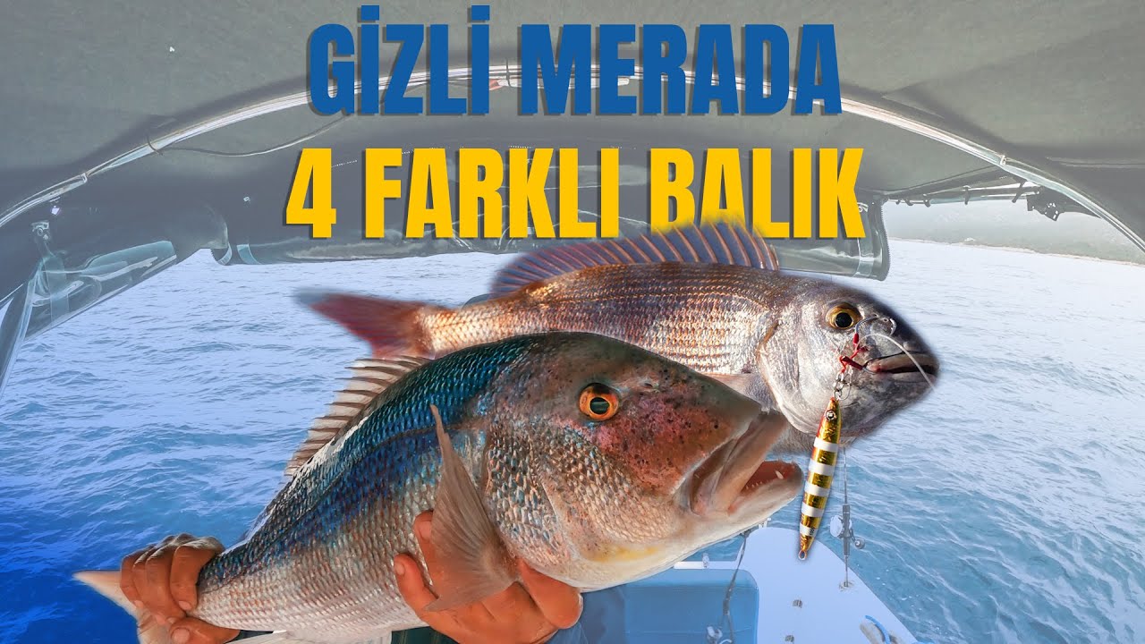 MUHTEŞEM DÖRT BALIK OLTADA, DÖRT GİZLİ MERA! Rakamlarla Balığı Bul!