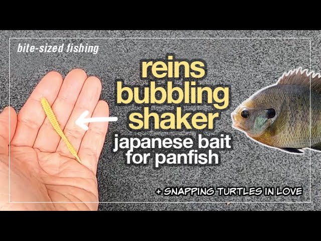 Is This Plastic Bait From Japan Good For Panfish? (Reins Bubbling